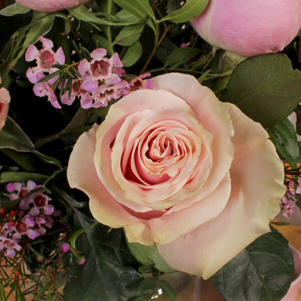 12 Pink Roses - Image 3