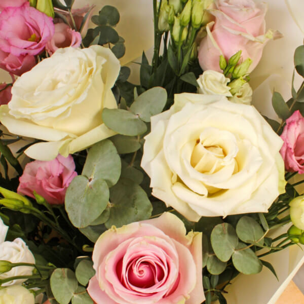 Blush Beauty - Image 2