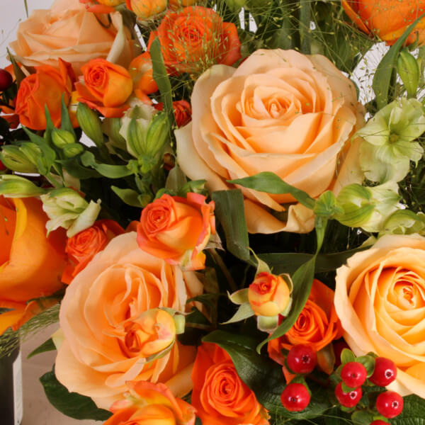 Peach Tango - Image 3