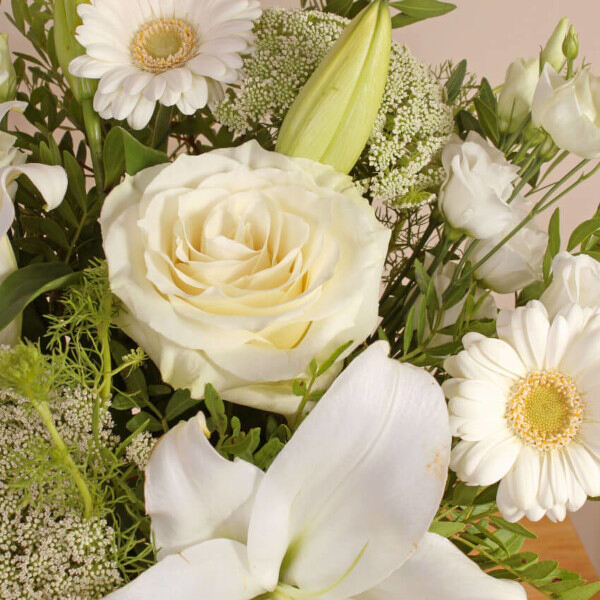 Pearly White - Image 2