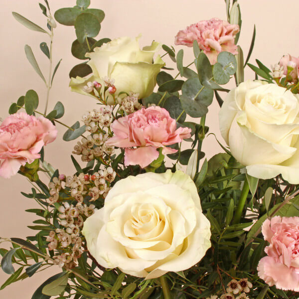 The Colette - Image 3