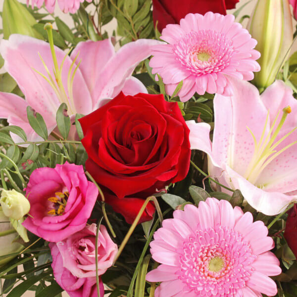 Wild About You - Image 3