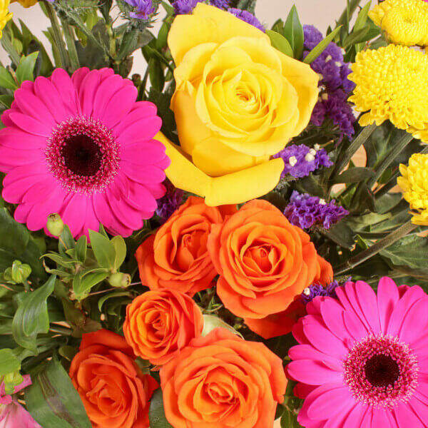 Blazing Beauty - Image 2